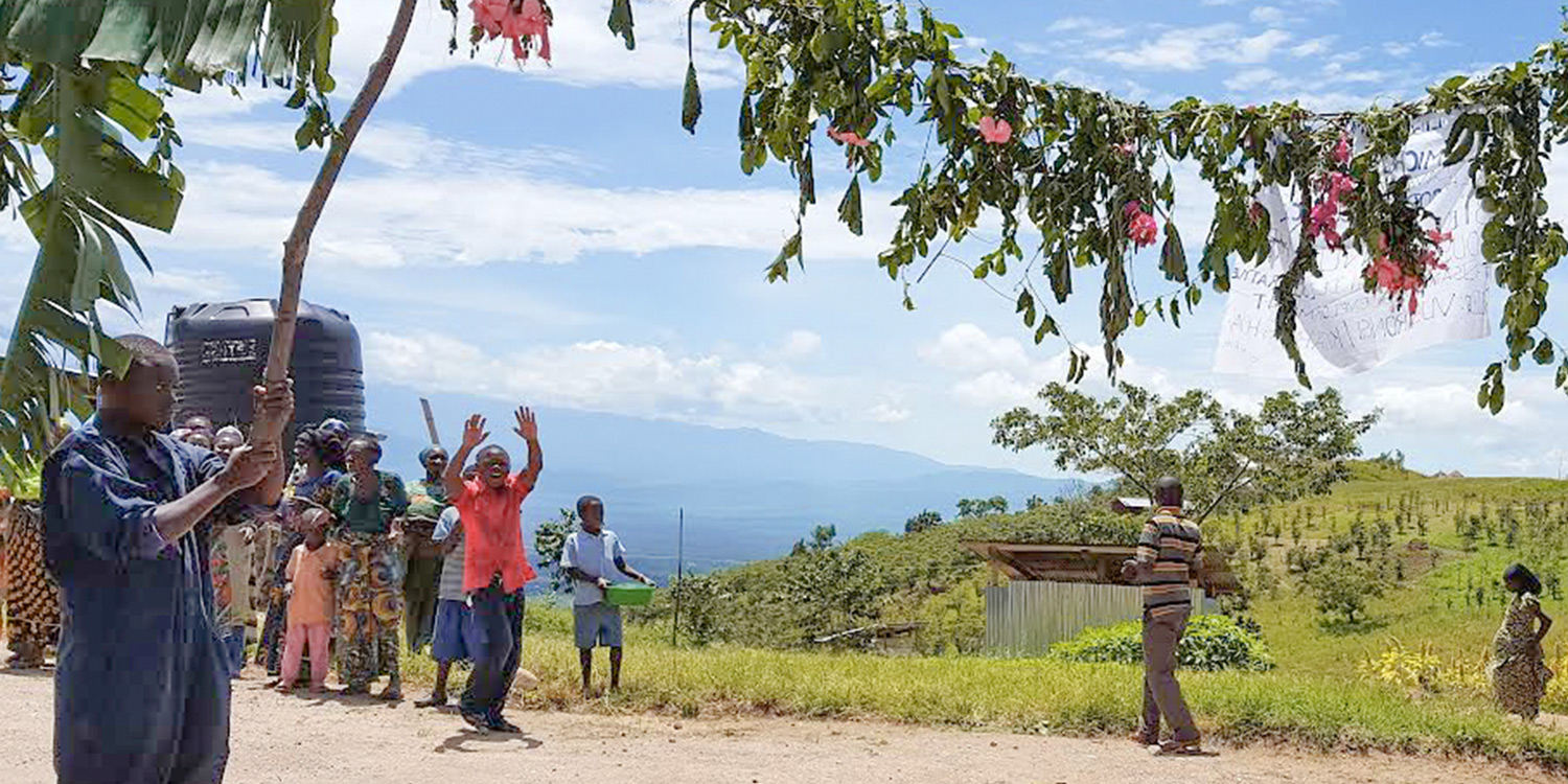 DR Congo Mivona Coffee